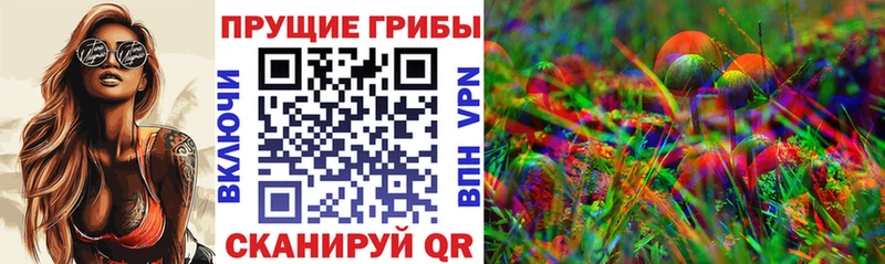 МЕГА как войти  Гаврилов-Ям  Галлюциногенные грибы Magic Shrooms  цена  