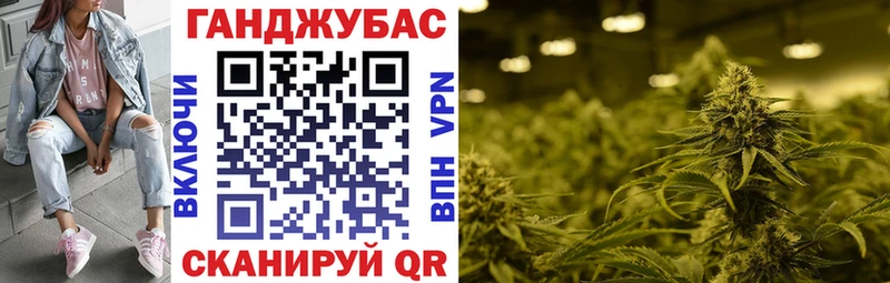 Марихуана сатива Гаврилов-Ям